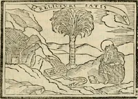 An illustration from Emblemas morales de Don Sebastian de Couarrubias Orozco, capellan del rey N.S. Maestrescuela, y canonigo de Cuenca, consultor del santo oficio (1610)
