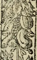 An illustration from Emblemas morales de Don Sebastian de Couarrubias Orozco, capellan del rey N.S. Maestrescuela, y canonigo de Cuenca, consultor del santo oficio (1610)