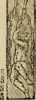 An illustration from Emblemas morales de Don Sebastian de Couarrubias Orozco, capellan del rey N.S. Maestrescuela, y canonigo de Cuenca, consultor del santo oficio (1610)