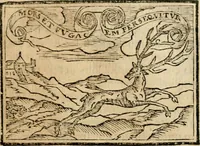 An illustration from Emblemas morales de Don Sebastian de Couarrubias Orozco, capellan del rey N.S. Maestrescuela, y canonigo de Cuenca, consultor del santo oficio (1610)
