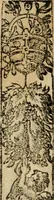 An illustration from Emblemas morales de Don Sebastian de Couarrubias Orozco, capellan del rey N.S. Maestrescuela, y canonigo de Cuenca, consultor del santo oficio (1610)