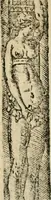 An illustration from Emblemas morales de Don Sebastian de Couarrubias Orozco, capellan del rey N.S. Maestrescuela, y canonigo de Cuenca, consultor del santo oficio (1610)