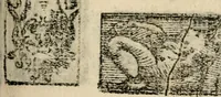 An illustration from Emblemas morales de Don Sebastian de Couarrubias Orozco, capellan del rey N.S. Maestrescuela, y canonigo de Cuenca, consultor del santo oficio (1610)