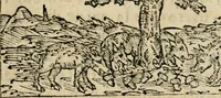 An illustration from Emblemas morales de Don Sebastian de Couarrubias Orozco, capellan del rey N.S. Maestrescuela, y canonigo de Cuenca, consultor del santo oficio (1610)