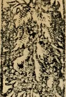 An illustration from Emblemas morales de Don Sebastian de Couarrubias Orozco, capellan del rey N.S. Maestrescuela, y canonigo de Cuenca, consultor del santo oficio (1610)