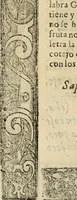 An illustration from Emblemas morales de Don Sebastian de Couarrubias Orozco, capellan del rey N.S. Maestrescuela, y canonigo de Cuenca, consultor del santo oficio (1610)
