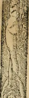 An illustration from Emblemas morales de Don Sebastian de Couarrubias Orozco, capellan del rey N.S. Maestrescuela, y canonigo de Cuenca, consultor del santo oficio (1610)