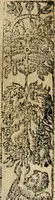 An illustration from Emblemas morales de Don Sebastian de Couarrubias Orozco, capellan del rey N.S. Maestrescuela, y canonigo de Cuenca, consultor del santo oficio (1610)