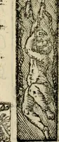 An illustration from Emblemas morales de Don Sebastian de Couarrubias Orozco, capellan del rey N.S. Maestrescuela, y canonigo de Cuenca, consultor del santo oficio (1610)