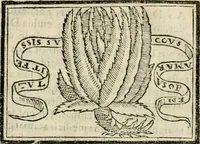 An illustration from Emblemas morales de Don Sebastian de Couarrubias Orozco, capellan del rey N.S. Maestrescuela, y canonigo de Cuenca, consultor del santo oficio (1610)