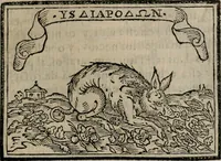 Picture 163 of 911 from Emblemas morales de Don Sebastian de Couarrubias Orozco ... (1610), leaf 102