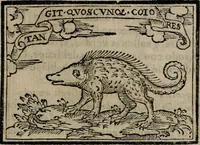 An illustration from Emblemas morales de Don Sebastian de Couarrubias Orozco ... (1610)