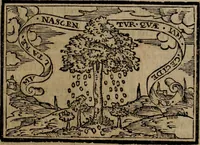 An illustration from Emblemas morales de Don Sebastian de Couarrubias Orozco ... (1610)