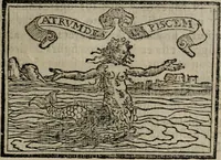 Picture 314 of 911 from Emblemas morales de Don Sebastian de Couarrubias Orozco ... (1610), leaf 192