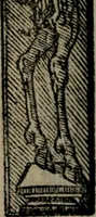An illustration from Emblemas morales de Don Sebastian de Couarrubias Orozco ... (1610)