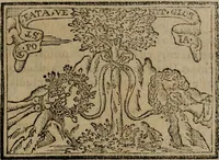 An illustration from Emblemas morales de Don Sebastian de Couarrubias Orozco ... (1610)