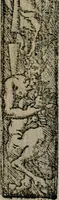 Picture 386 of 911 from Emblemas morales de Don Sebastian de Couarrubias Orozco ... (1610), leaf 238