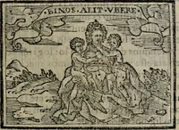 Picture 391 of 911 from Emblemas morales de Don Sebastian de Couarrubias Orozco ... (1610), leaf 242