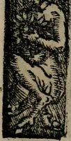 An illustration from Emblemas morales de Don Sebastian de Couarrubias Orozco ... (1610)