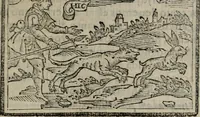 Picture 455 of 911 from Emblemas morales de Don Sebastian de Couarrubias Orozco ... (1610), leaf 288