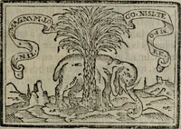 Picture 459 of 911 from Emblemas morales de Don Sebastian de Couarrubias Orozco ... (1610), leaf 290