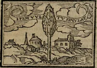 Picture 517 of 911 from Emblemas morales de Don Sebastian de Couarrubias Orozco ... (1610), leaf 334