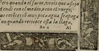 Picture 565 of 911 from Emblemas morales de Don Sebastian de Couarrubias Orozco ... (1610), leaf 368