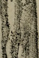 An illustration from Emblemas morales de Don Sebastian de Couarrubias Orozco ... (1610)
