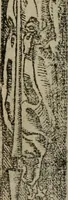 An illustration from Emblemas morales de Don Sebastian de Couarrubias Orozco ... (1610)