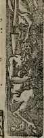 An illustration from Emblemas morales de Don Sebastian de Couarrubias Orozco ... (1610)