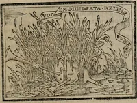 An illustration from Emblemas morales de Don Sebastian de Couarrubias Orozco ... (1610)