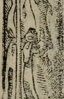 An illustration from Emblemas morales de Don Sebastian de Couarrubias Orozco ... (1610)