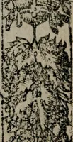 An illustration from Emblemas morales de Don Sebastian de Couarrubias Orozco ... (1610)