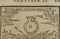 An illustration from Emblemas morales de Don Sebastian de Couarrubias Orozco ... (1610)