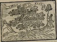 An illustration from Emblemas morales de Don Sebastian de Couarrubias Orozco ... (1610)