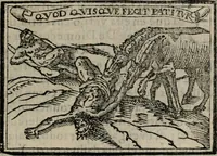 An illustration from Emblemas morales de Don Sebastian de Couarrubias Orozco ... (1610)
