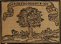 Picture 91 of 911 from Emblemas morales de Don Sebastian de Couarrubias Orozco ... (1610), leaf 62