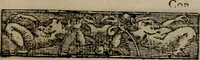 An illustration from Emblemas morales de Don Sebastian de Couarrubias Orozco ... (1610)