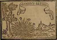 Picture 130 of 911 from Emblemas morales de Don Sebastian de Couarrubias Orozco ... (1610), leaf 84
