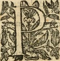 An illustration from Emblemas morales de Don Iuan de Horozco Covarruuias... (1604)