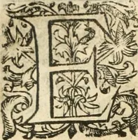 An illustration from Emblemas morales de Don Iuan de Horozco Covarruuias... (1604)
