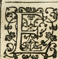 An illustration from Emblemas morales de Don Iuan de Horozco Covarruuias... (1604)
