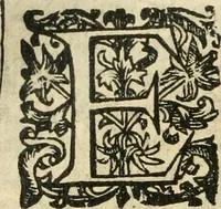 An illustration from Emblemas morales de Don Iuan de Horozco Covarruuias... (1604)