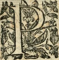 An illustration from Emblemas morales de Don Iuan de Horozco Covarruuias... (1604)