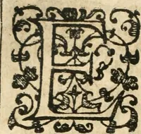 An illustration from Emblemas morales de Don Iuan de Horozco Covarruuias... (1604)