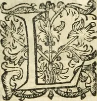 An illustration from Emblemas morales de Don Iuan de Horozco Covarruuias... (1604)
