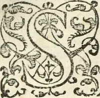 An illustration from Emblemas morales de Don Iuan de Horozco Covarruuias... (1604)