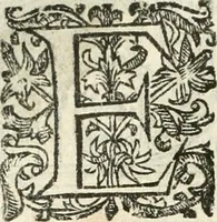 An illustration from Emblemas morales de Don Iuan de Horozco Covarruuias... (1604)