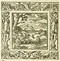 Picture 24 of 36 from Andreae Alciati Emblemata (1621), leaf 738