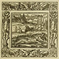 Picture 26 of 36 from Andreae Alciati Emblemata (1621), leaf 757